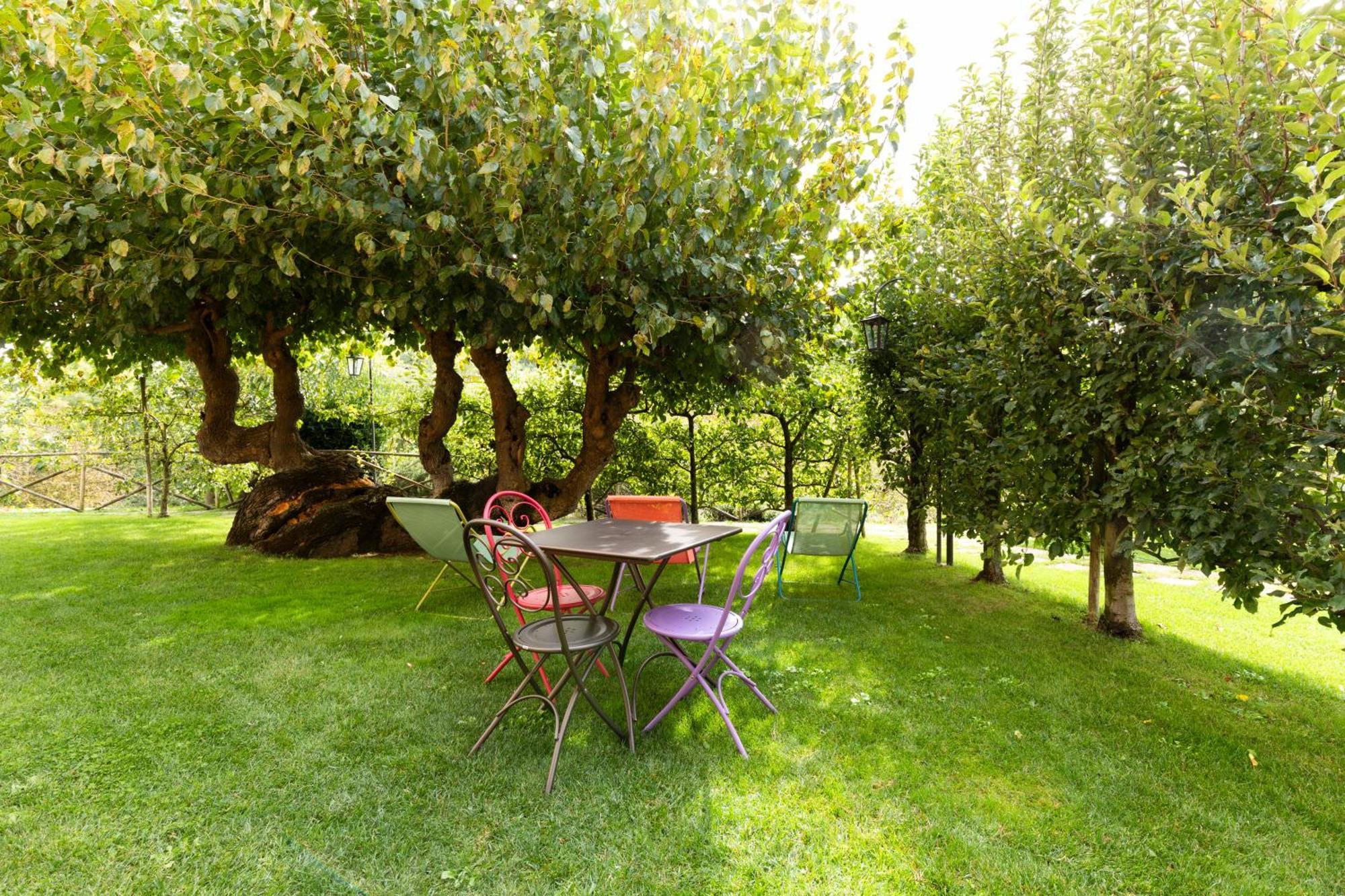 Agriturismo I Gelsi Di Santa Cristina Gubbio Exteriör bild