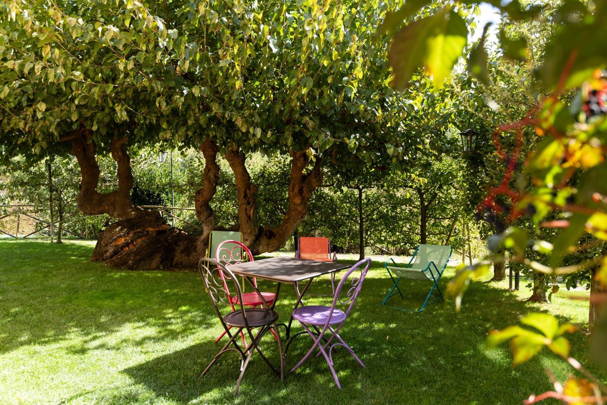 Agriturismo I Gelsi Di Santa Cristina Gubbio Exteriör bild